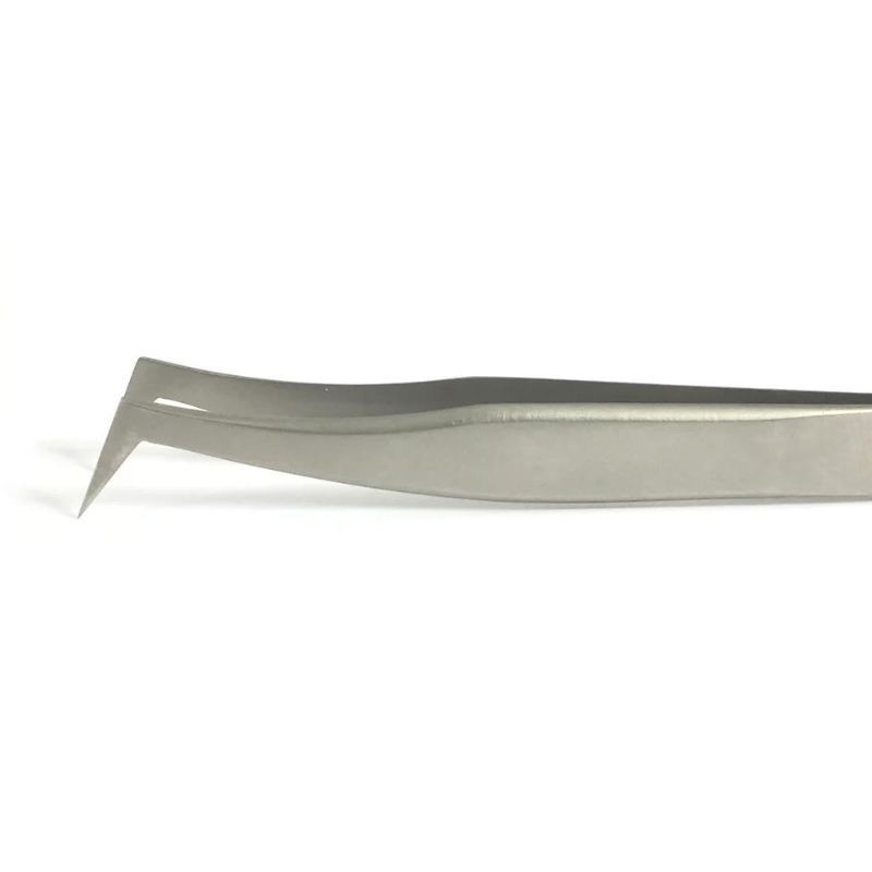 FREE Stainless Steel Tweezers